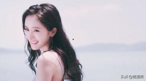 娱乐圈吃瓜内容有哪些